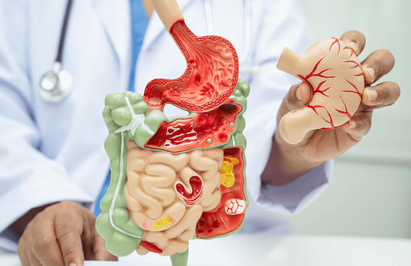 Gastroenterologia_ REMEDIA